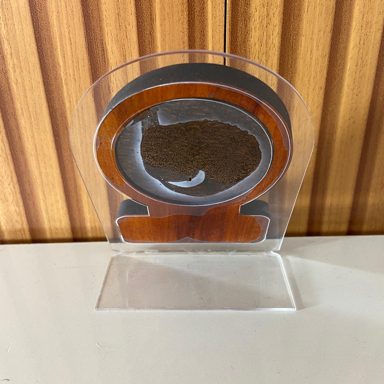 ADORNO DE MESA ACRÍLICO E MADEIRA COM ORAÇÃO NOSSA SENHORA APARECIDA METAL OURO VELHO 12CM (1 UNIDADE)
