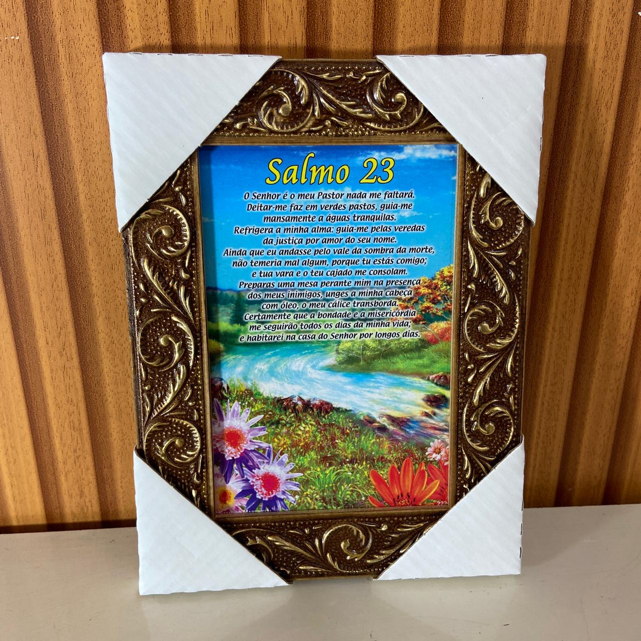 QUADRO COM MOLDURA RESINADO SALMO 23 20,5X15,5 (1 UNIDADE)