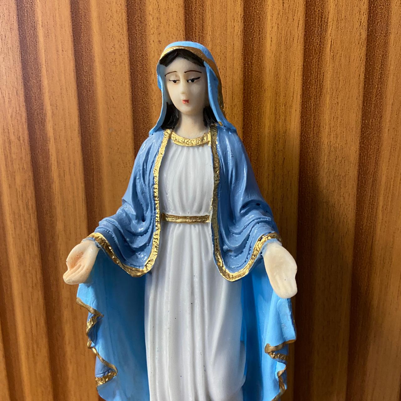 IMAGEM DE RESINA NACIONAL NOSSA SENHORA DAS GRAÇAS 20CM (1 UNIDADE)