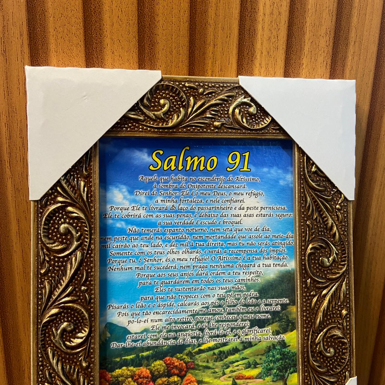 QUADRO COM MOLDURA RESINADO SALMO 91 - MOD1 20,5X15,5 (1 UNIDADE)