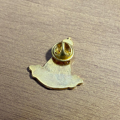 BOTOM DOURADO RESINADO NOSSA SENHORA APARECIDA MOD2 (6 UNIDADES)