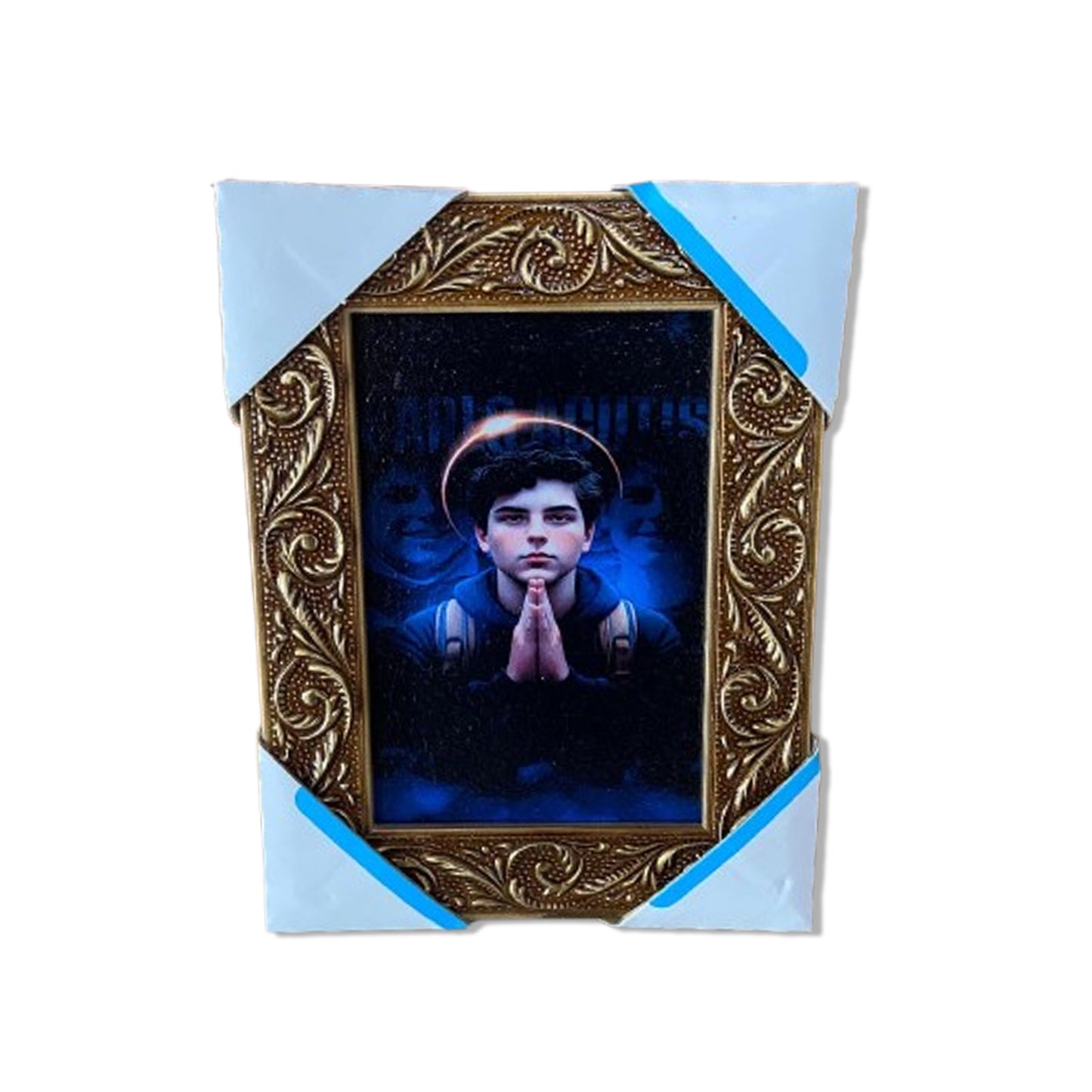 QUADRO COM MOLDURA RESINADO CARLO ACUTIS 20,5X15,5 (1 UNIDADE)